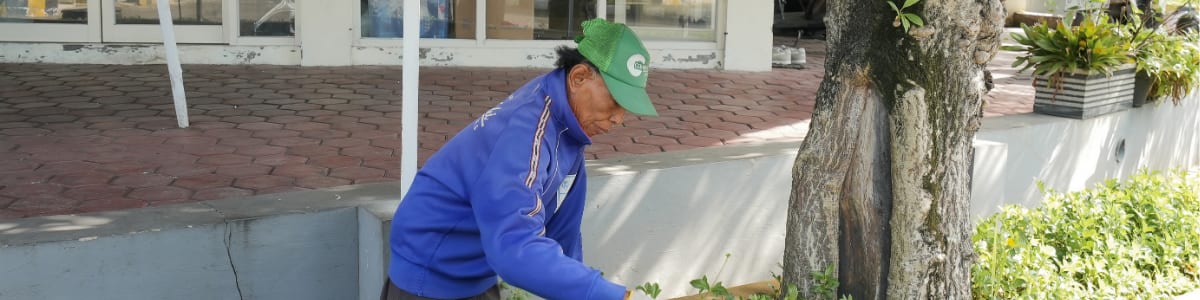 Kebersihan Terjaga di kawasan perumahan Prima Garden Estate Sidoarjo
